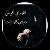 ramialdaraji3