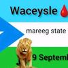 nimco.abdullahi26