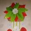 salsa.nalendra