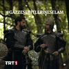 razaali6093