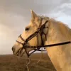 k_h_a_w3