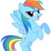 rainbow.dash.551