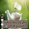 user9651158117835