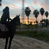 adriana_vagliasindi