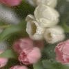 user21117112268537