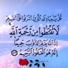 user1931137853067