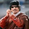 .mohamed87942