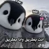 nono564118
