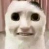 jose.vittery