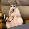 user84237382967696