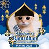 PPP kucing ramadan 2025✔️