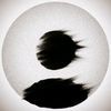 dismal_444