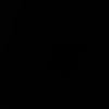 diegopacheco918
