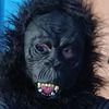 monkey12745