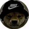 umdogequalquer2