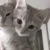 crazy4you_4