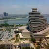 ziad.ali6603