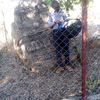 yusuphguga103