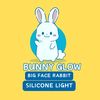 bunny.glow.silico