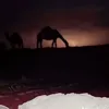 mohammad.aljohani3