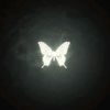 syaaa_733