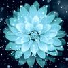 celeste5678910