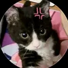 _xaunhucuc