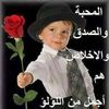 ahmedhamid9380
