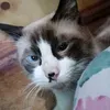 josie.tabanas