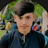 hamza_ff_0.1