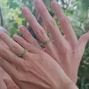 quy_tg_63