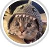 meow.atron