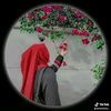user558029849