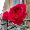 user1391253803161