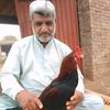 salman.baloch.74