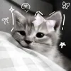 😼