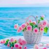 asmaa.abuzid