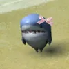 cshismyhusband