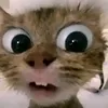 httpsvt.tiktok.comzsxhed