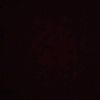 melih.cnrxw