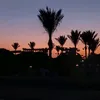 anulinka_11