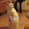 l_i_e_nnnnm