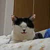 momo_0214__