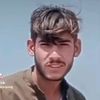 armanimalang156