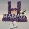 hanan.marzouk2