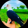 user5580784833713