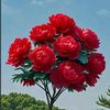 ziddi.queen1595