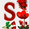 salman.sheikh5118