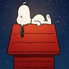 emcy_84
