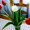 joanna.rozpendek